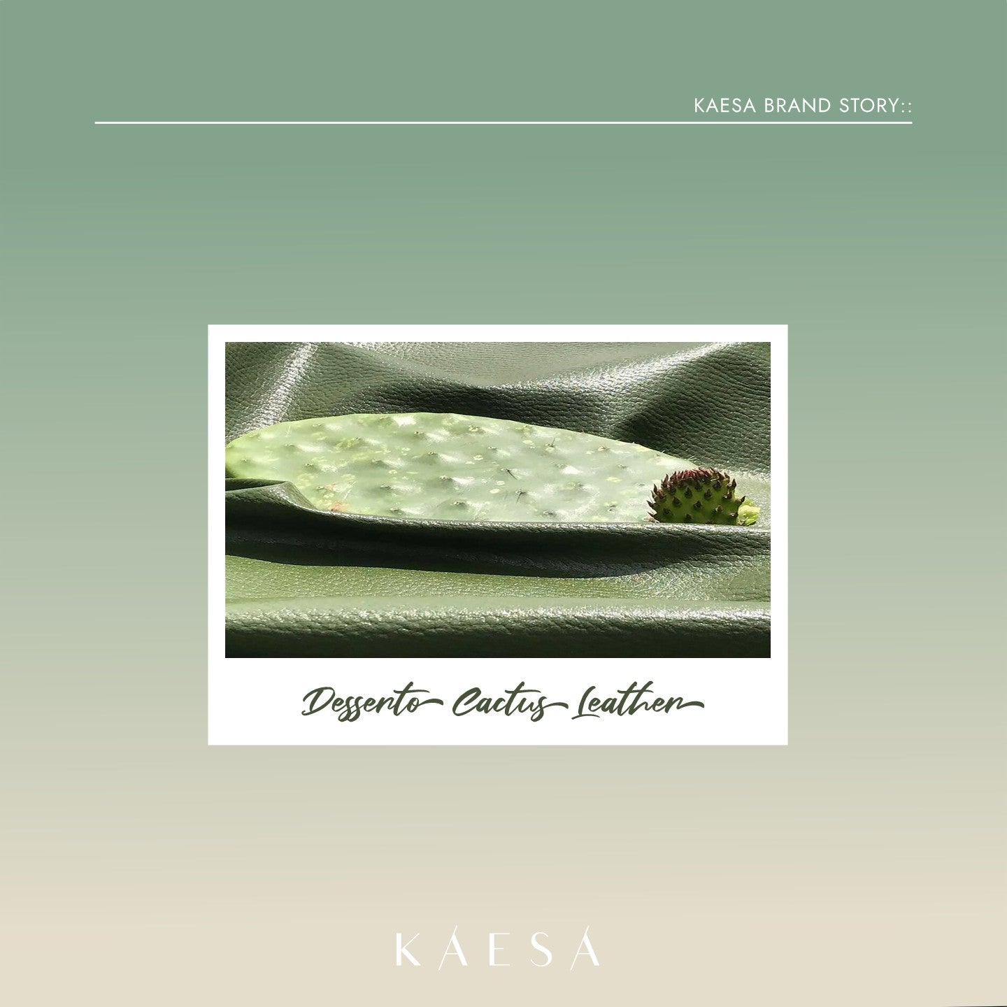 Plant-Based Spotlight: Desserto Cactus Leather  KAESA